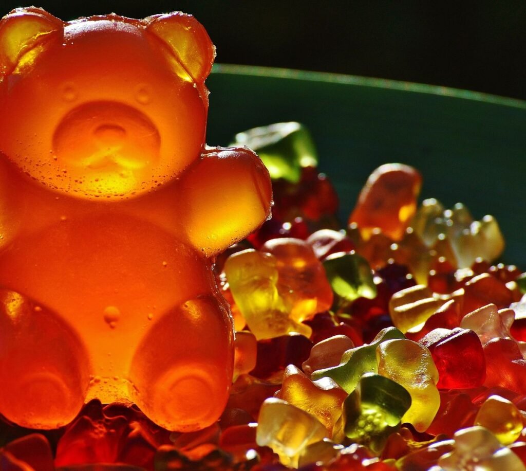 Can Dogs Eat Gelatin? What Pet Owners Need to Know Can Dogs Eat Gelatin? What Pet Owners Need to Know