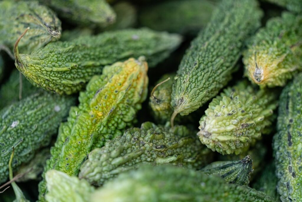 Can Dogs Eat Bitter Gourd? Vet-Reviewed Safety & Feeding Tips Can Dogs Eat Bitter Gourd? Vet-Reviewed Safety & Feeding Tips