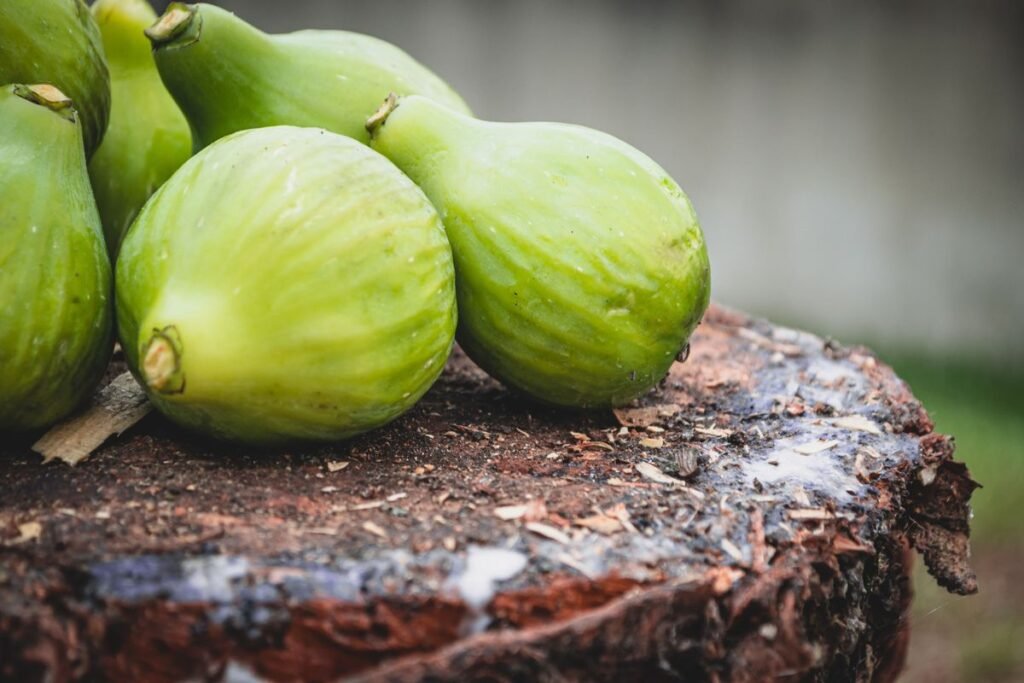 Can Dogs Eat Fig Bars? What You Need to Know Can Dogs Eat Fig Bars? What You Need to Know