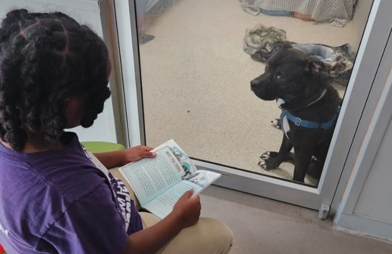 11-Year-Old Becomes First Child To Read 100 Hours To Shelter Pets In Jacksonville 11-YEAR-OLD BECOMES FIRST CHILD TO READ 100 HOURS TO SHELTER PETS IN JACKSONVILLE