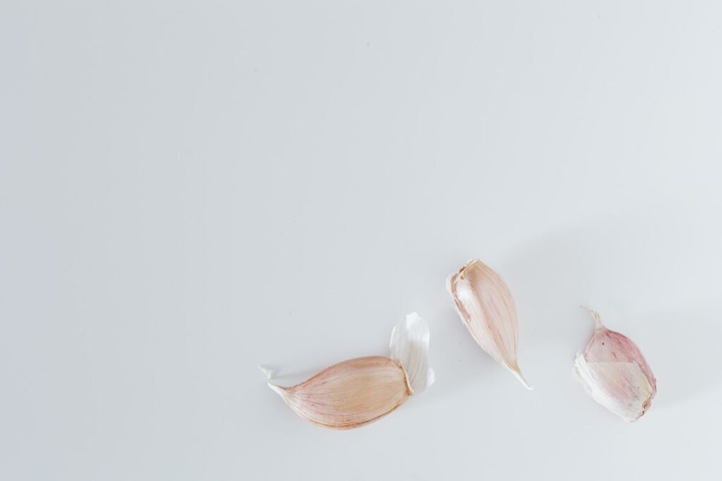Can Dogs Have Cloves? What Every Pet Owner Should Know Can Dogs Have Cloves? What Every Pet Owner Should Know
