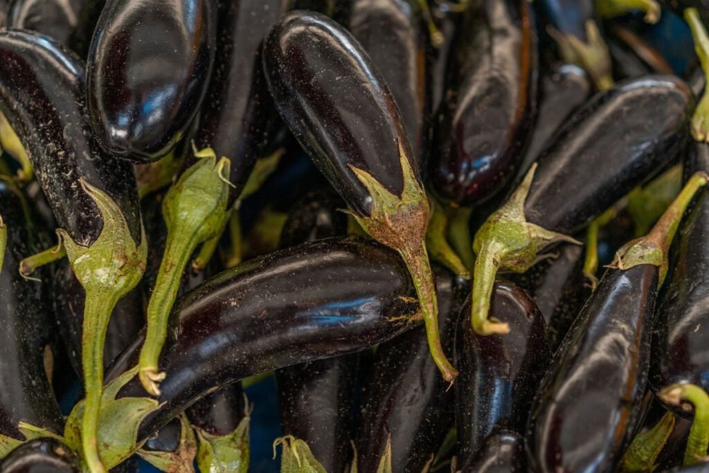 Can Dogs Eat Aubergines? A Complete Guide for Pet Owners