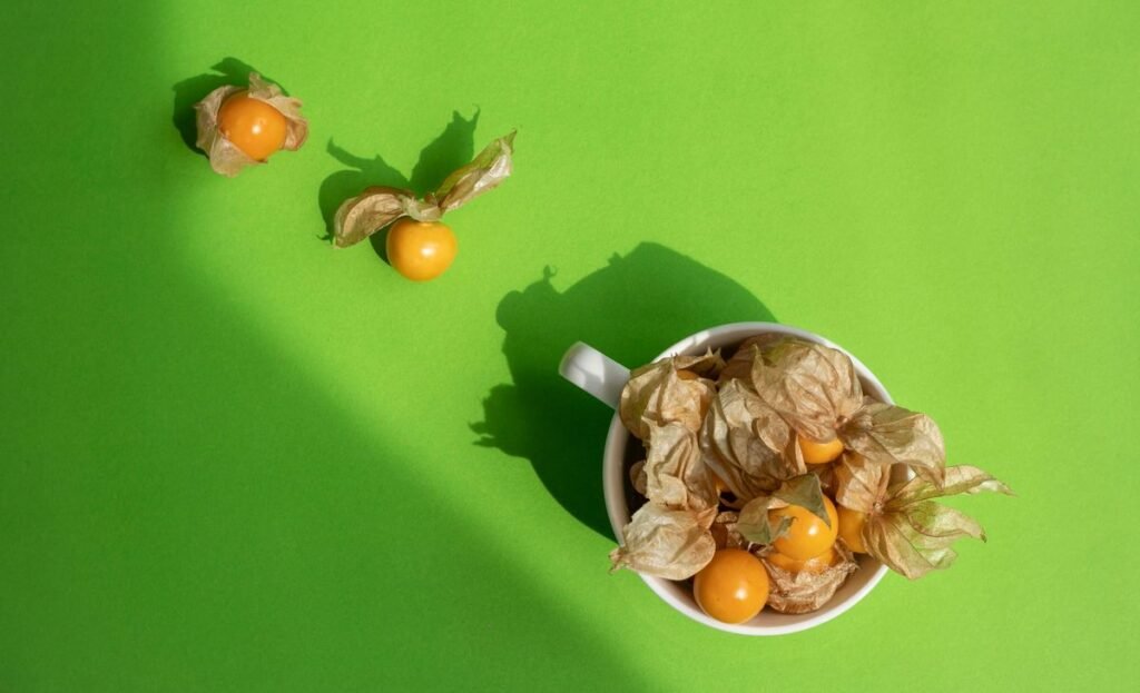 Can Dogs Eat Gooseberries? What Pet Owners Need to Know Can Dogs Eat Gooseberries? What Pet Owners Need to Know