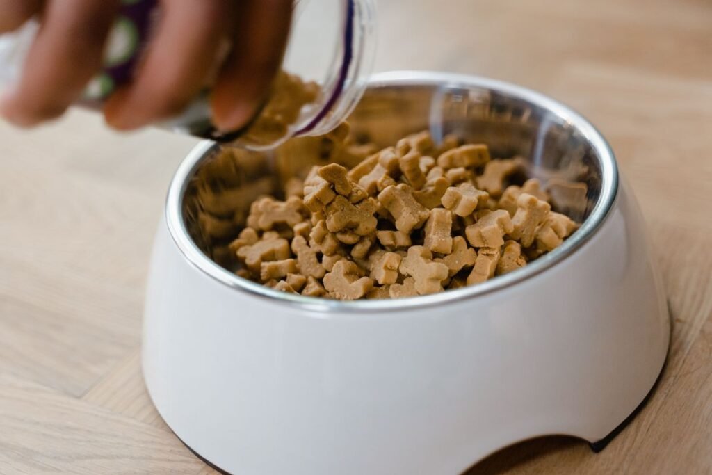 Can Dogs Have Biscuits? A Guide to Safe Treats for Your Pup Can Dogs Have Biscuits? A Guide to Safe Treats for Your Pup