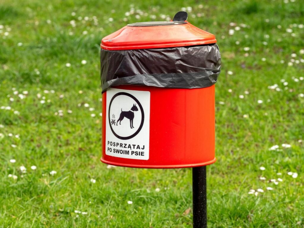 Why Is My Dog's Poop Green? Top 5 Causes Explained