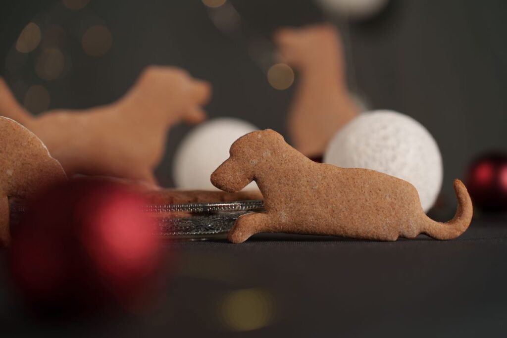 Can Dogs Eat Cookies? A Complete Guide to Safety and Risks