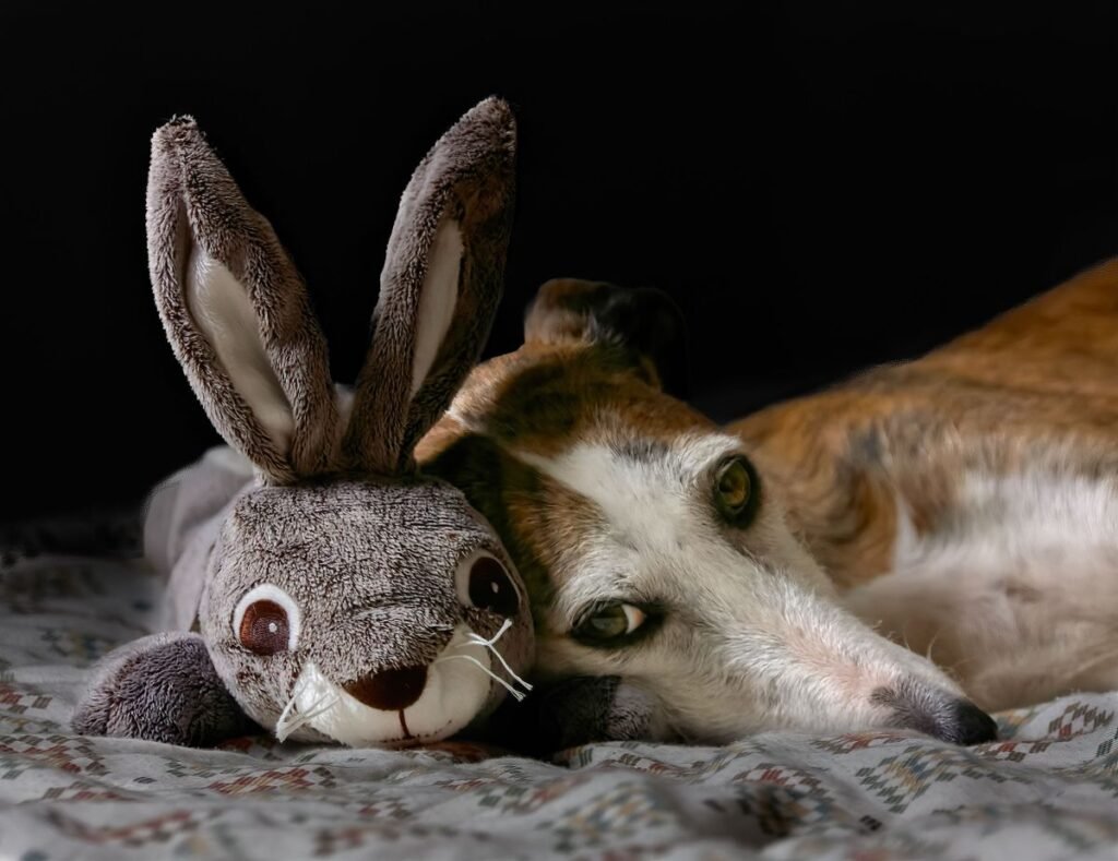 Is Bunny Poop Bad for Dogs? Risks, Prevention, and Advice
