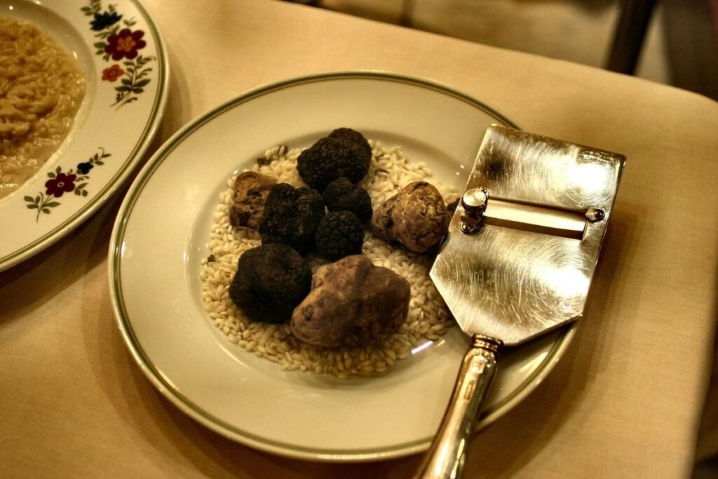 Can Dogs Eat Truffle? What Pet Owners Need to Know