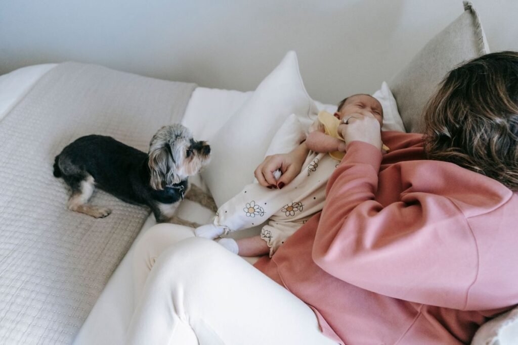 Is Calamine Safe for Dogs? What Every Pet Owner Should Know Is Calamine Safe for Dogs? What Every Pet Owner Should Know