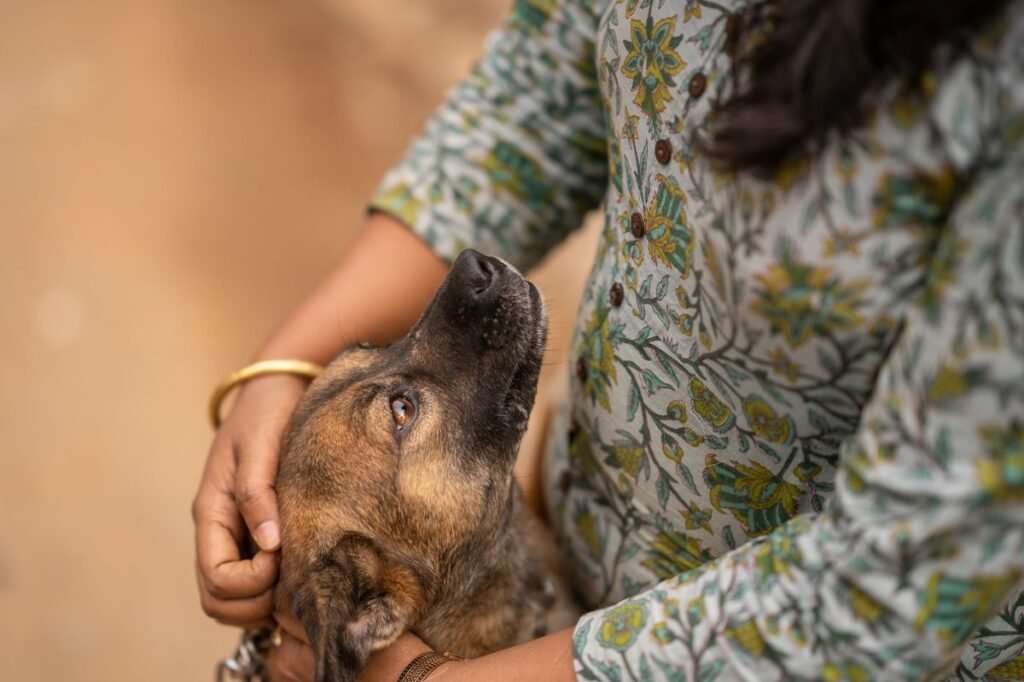 Do Dogs Actually Like Being Pet? Here’s What Science Says Do Dogs Actually Like Being Pet? Here's What Science Says