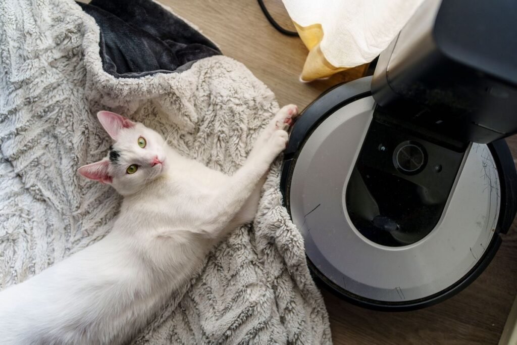 Are Cats Cleaner Than Dogs? A Fair Comparison Are Cats Cleaner Than Dogs? A Fair Comparison
