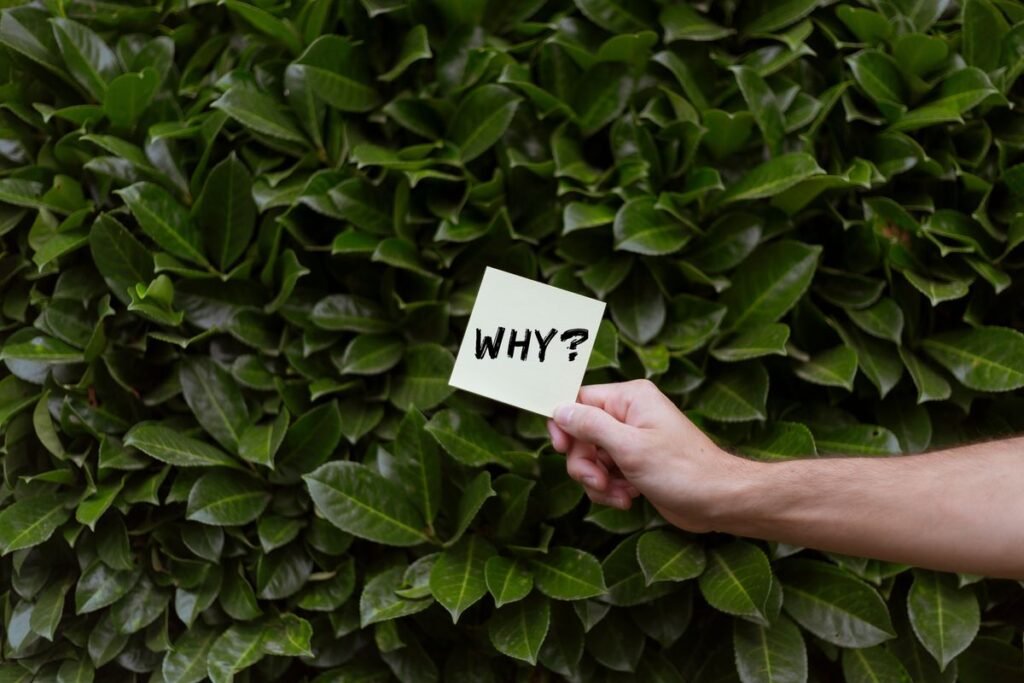 Why Do Dogs Eat Leaves? Common Reasons and When to Worry Why Do Dogs Eat Leaves? Common Reasons and When to Worry
