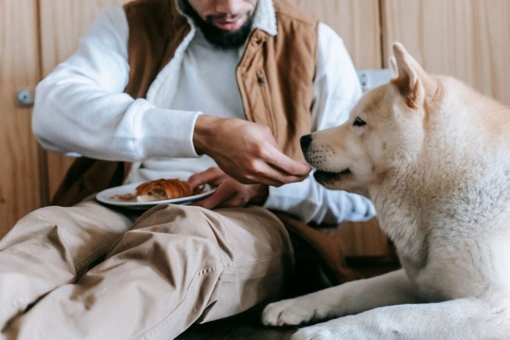 Can Dogs Eat Croissants? Risks and What to Do Can Dogs Eat Croissants? Risks and What to Do