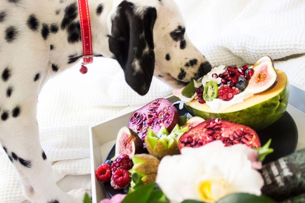 Can Dogs Have Melon? A Complete Guide to Feeding Melon to Your Dog Can Dogs Have Melon? A Complete Guide to Feeding Melon to Your Dog