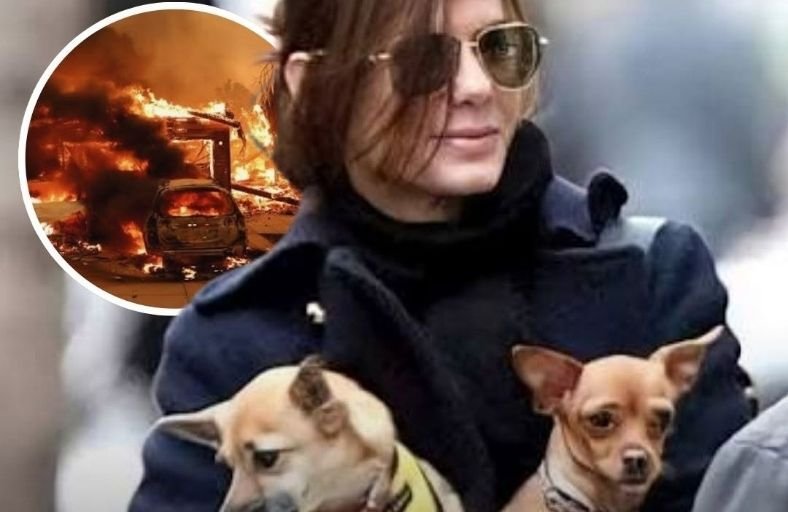 Actress Sandra Bullock Donates $100,000 To Help Animals Rescued From Wildfires Actress Sandra Bullock Donates $100,000 To Help Animals Rescued From Wildfires