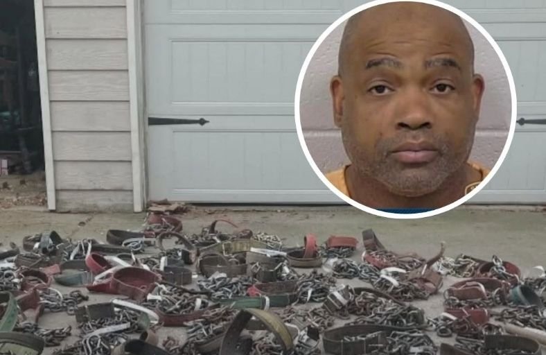 Georgia Man Sentenced To 475 Years After 107 Dogs Found Chained And Starving At His Property Georgia Man Sentenced To 475 Years After 107 Dogs Found Chained And Starving At His Property