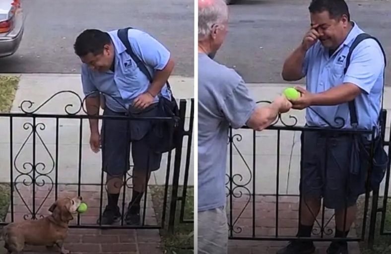 Mailman Breaks Down In Tears When Dog’s Owner Hands Him The Tennis Ball They Played With Every Day For 5 Years Mailman Breaks Down In Tears