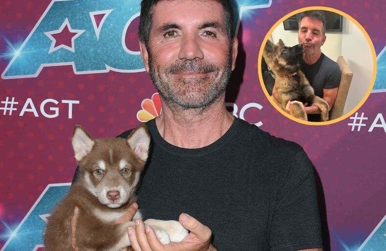 Simon Cowell Says He’ll Use His $600m Fortune To Save Abused And Abandoned Animals Simon Cowell Says Hell Use His $600m Fortune To Save Abused And Abandoned Animals