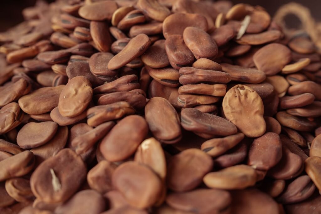 Can Dogs Eat Fava Beans? A Complete Guide to Safety and Risks Can Dogs Eat Fava Beans? A Complete Guide to Safety and Risks