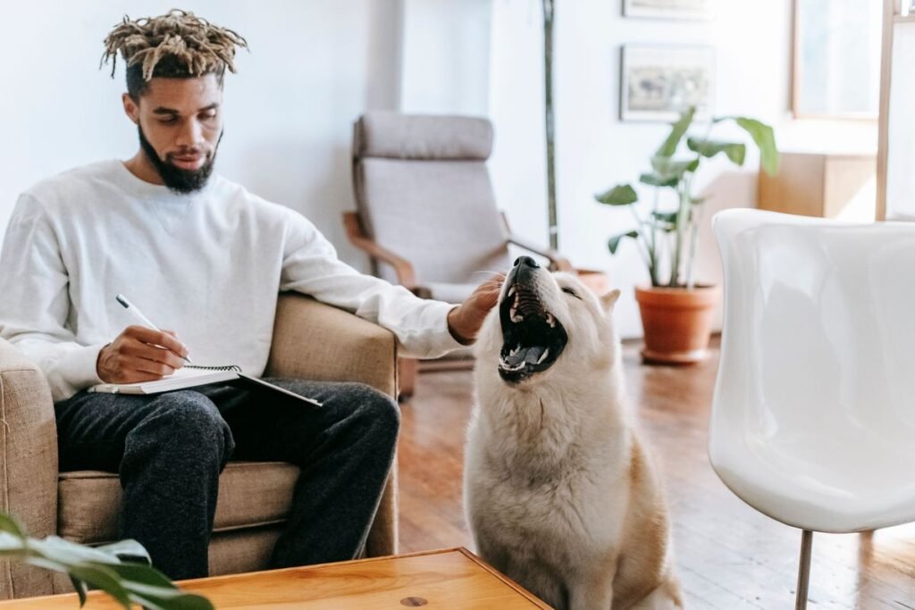 Can Dogs Take Ashwagandha? A Complete Guide to Safety, Benefits, and Dosage