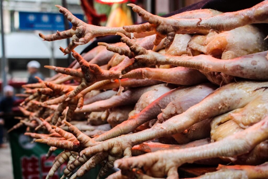 Can Dogs Eat Raw Chicken Feet? A Nutritional Guide for Pet Owners Can Dogs Eat Raw Chicken Feet? A Nutritional Guide for Pet Owners