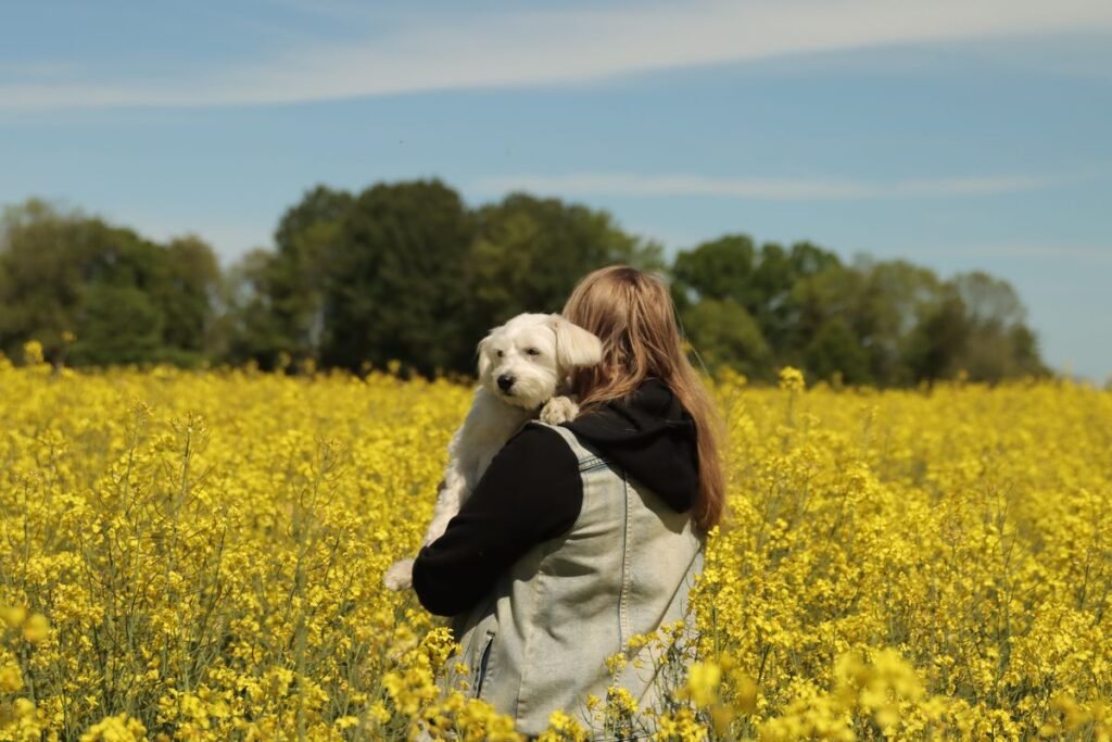 Can Dogs Eat Canola Oil? Safety, Benefits, and Risks Explained Can Dogs Eat Canola Oil? Safety, Benefits, and Risks Explained