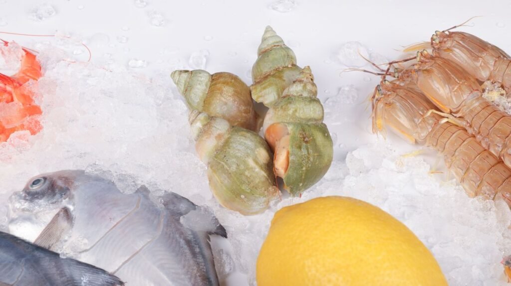 Are Shrimp Tails Good for Dogs? What You Need to Know Are Shrimp Tails Good for Dogs? What You Need to Know