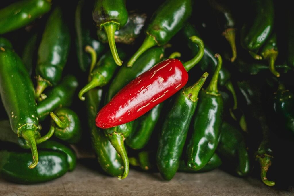 Are Jalapenos Bad for Dogs? A Vet-Approved Guide Are Jalapenos Bad for Dogs? A Vet-Approved Guide