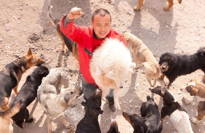 Man Spends Over $470000 Of His Fortune To Turn A Slaughterhouse Into A Shelter And Rescues 2000 Dogs man-spends-over-470000-and-rescues-2000-dogs