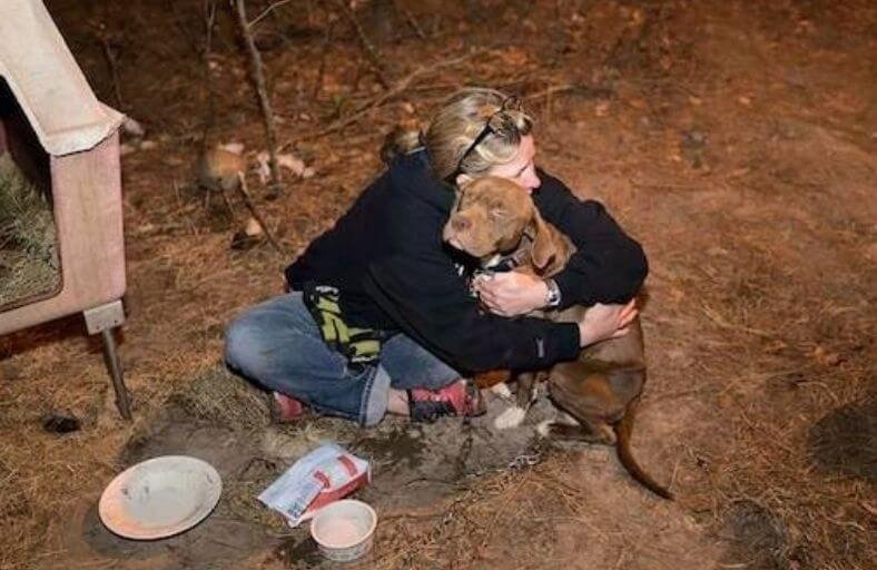 Stolen Pit Bull Found Chained During Cockfighting Raid A Year After She Vanished Stolen Pit Bull Found Chained During Cockfighting Raid A Year After She Vanished