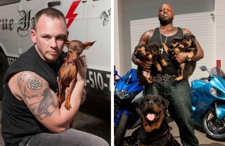 Tattooed Bikers Founded Rescue Ink To Stop Dogfighting, Confront Animal Abusers, And Rescue Neglected Animals TATTOOED BIKERS FOUNDED RESCUE INK TO CONFRONT ANIMAL ABUSERS HEAD ON